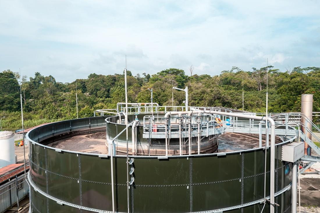 維爾利成功簽約新加坡生物能源項(xiàng)目